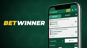 Download the BetWinner Mobile App Your Gateway to Sports Betting 2096876001