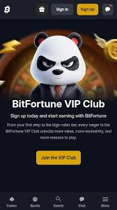 Bitfortune Casino Deposit Speed Test Analyze Your Banking Experience