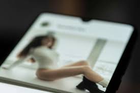 The Evolution and Diversity of Clothes Removers The Evolution and Diversity of Clothes Removers