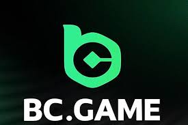 Understanding BC Game Verification KYC A Comprehensive Guide