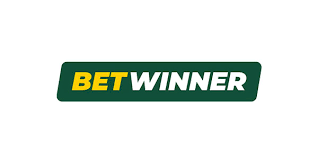 Explore the Excitement of BetWinner Casino A Comprehensive Guide