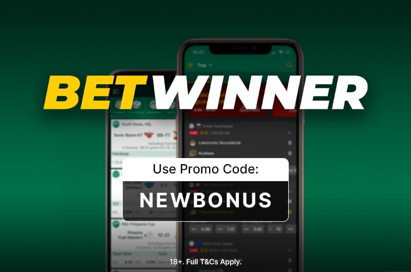 Exploring the BetWinner Platform A Comprehensive Overview