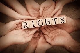 The Role of Legal Teams in Human Rights Advocacy