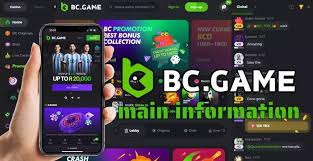Understanding BC.Game Mirror Sites A Comprehensive Guide