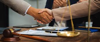 Understanding Legal Help for Human Rights Issues