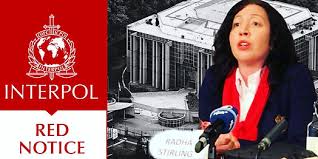 Understanding the Role of Interpol Defense Lawyers 1339250066