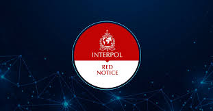 Understanding the Role of Interpol Defense Lawyers 1339494707