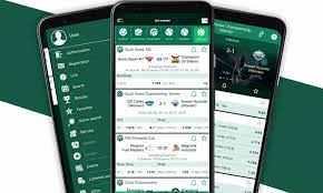 BetWinner Online Casino Your Ultimate Gaming Experience
