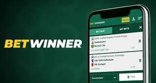 BetWinner Platform Your Ultimate Online Betting Experience