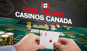 Discover the Top Online Casinos Your Ultimate Guide -197992151 Discover the Top Online Casinos Your Ultimate Guide -197992151