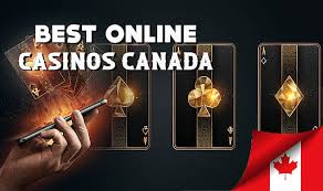 Top Canada Online Casinos Your Guide to the Best Gaming Experience -265305761 Top Canada Online Casinos Your Guide to the Best Gaming Experience -265305761